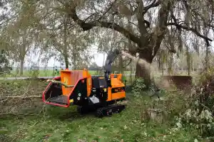 stratenmaker_purmerend_CB._Boomverzorging_&_Groenprojecten_5.jpg