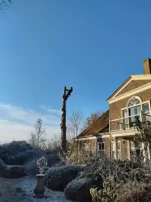 stratenmaker_purmerend_CB._Boomverzorging_&_Groenprojecten_4.jpg