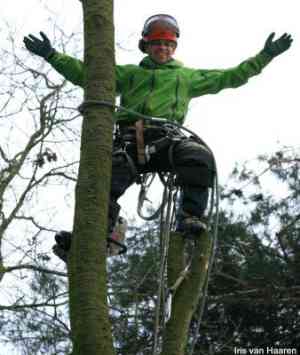boomverzorging_soesterberg_Boomwerk_Bilthoven_5.jpg