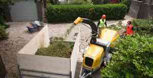 boomverzorging_velden_Rope_Control_3.jpg