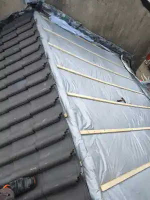 Dakrenovatie incl. nieuwe isolatie, latwerk en keramische dakpannen. .jpg