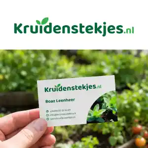 grafisch-ontwerper_emmen_MeijerMedia_6.jpg