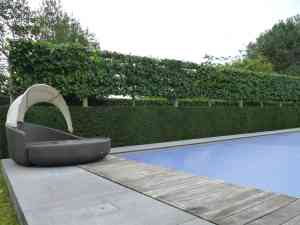 tuinaanleg-en-tuinonderhoud_genk_Exterior_bvba_5.jpg
