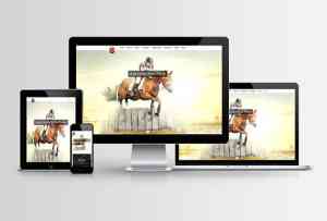 webdesign_arnsberg_Neue_Werbung_GmbH_&_Co._KG_3.jpg