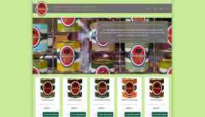 webdesign_k%C3%B6ln_encurio_GmbH_-_Internet_agency_and_advertising_agency_(encurio_GmbH_-_Internetagentur_und_Game_Studio)_4.jpg