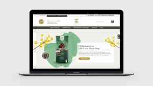 webdesign_d%C3%BCsseldorf_tm-webentwicklung_GmbH_4.jpg