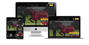 webdesign_nordkirchen_Thomas_Gunia_Webdesign_3.jpg