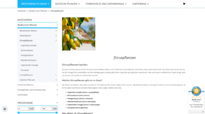webdesign_r%C3%B6srath_Texte_&_Websites_Rösrath_Cristine_Keidel_2.jpg