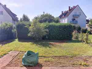 immobilienmakler_langenlonsheim_Mohr_Immobilien_4.jpg