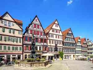 immobilienmakler_reutlingen_Garant_Immobilien_3.jpg