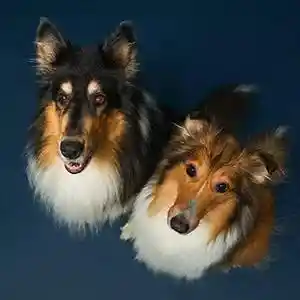 webdesign_kerpen_nnax_IT-Lösungen_Bergmann_&_Krieter_GbR_7.jpg