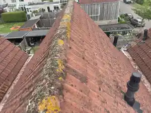 Dakpannen Vervangen in Zeewole.jpg