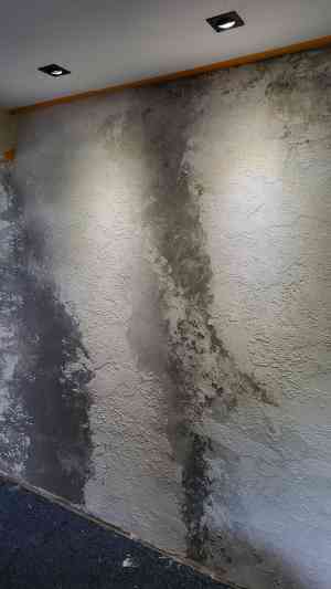 FOX Wandgestaltung | Dekorative Effekte.jpg