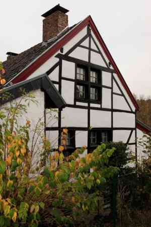 maler_stolberg-rheinland_Naturhaus_Eugène_Anny_6.jpg