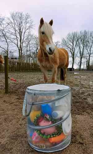 coaching_gent-drongen_Isabelle_Quinten_coaching_4.jpg
