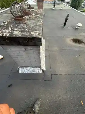 Schoorsteen volledig dicht gevoegd, klaar voor jarenlang gebruik!.jpg