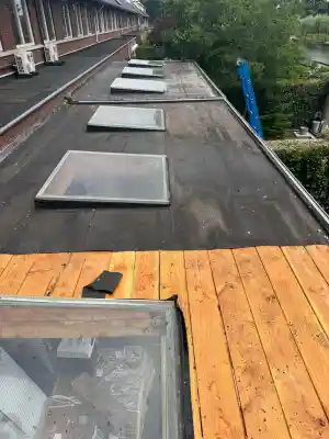 Van lekkende dakramen naar stijlvolle lichtkoepels.jpg