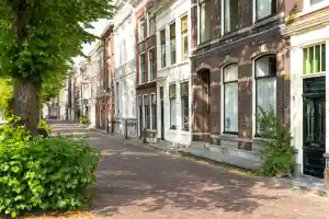 taxateur_andel_Mijntaxa_3.jpg