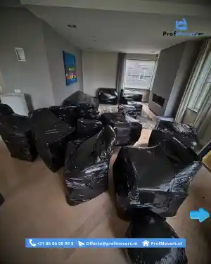 verhuisbedrijf_bleiswijk_ProfMovers_4.jpg