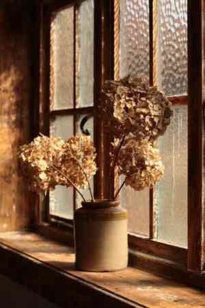 weddingplanner_haarlem_Cé_yes_5.jpg