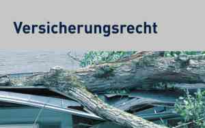 rechtsanwalt_stuttgart-kaltental_Dr._Hörl_Rechtsanwälte_6.jpg