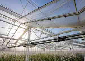 aannemer_hoek-van-holland_Bom_Productions_B.V._3.jpg