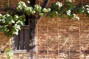 architect_hasselt-sint-lambrechts-herk_Team_Vanmeer_Architecten_Co_3.jpg