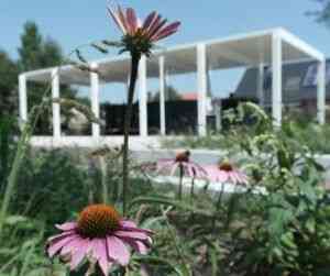 architect_overijse-maleizen_KARMA_-_architecten_4.jpg