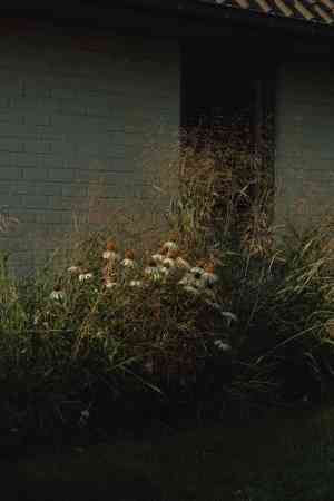 architect_buggenhout_Bloesem_tuinarchitecten_4.jpg