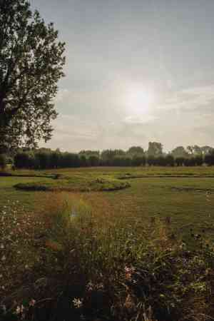 architect_buggenhout_Bloesem_tuinarchitecten_3.jpg