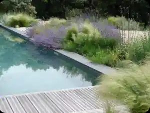 tuinaanleg-en-tuinonderhoud_gooik-oetingen_Tuinarchitect_De_Riemaecker_Wouter_5.jpg