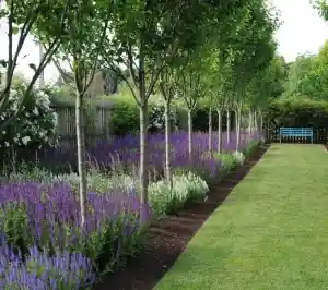 tuinaanleg-en-tuinonderhoud_gooik-oetingen_Tuinarchitect_De_Riemaecker_Wouter_2.jpg