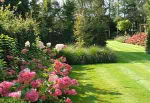 tuinaanleg-en-tuinonderhoud_zandhoven-viersel_Van_den_Rul/Johan_(Tuinarchitectuur_Johan_Van_Den_Rul)_5.jpg