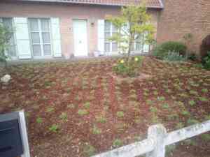 tuinaanleg-en-tuinonderhoud_gistel-moere_tuinwerken_Mike_Simoen_4.jpg