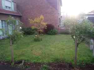tuinaanleg-en-tuinonderhoud_gistel-moere_tuinwerken_Mike_Simoen_6.jpg