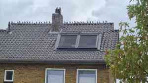 aannemer_driel_Timmer-_en_onderhoudswerken_Vermeij_3.jpg