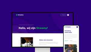 𝗦𝘁𝗿𝗲𝗮𝗺𝘆 - Onderscheidende branding én websites.jpg