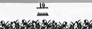 rechtsanwalt_lindau-bodensee_Patentanwalt_Dr._Riebling_5.jpg
