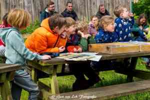 fotograaf_dieren_GertvanEck_Fotografie_&_Design_5.jpg