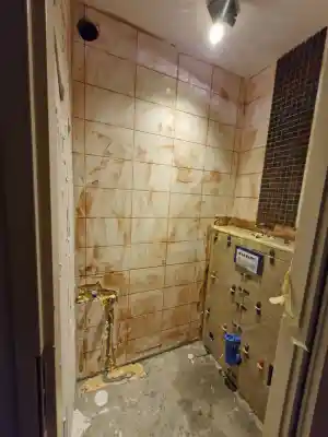 Moderne toilet renovatie met tegelwerk en design wastafel.jpg