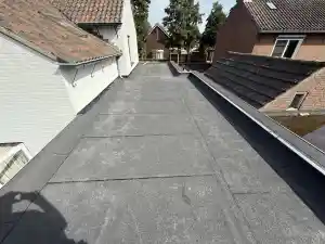 dakdekker_schaijk_DR_Dakonderhoud_6.jpg