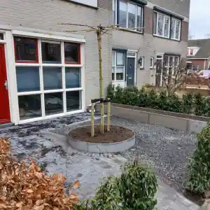 Moderne tuin met een speelse twist.jpg