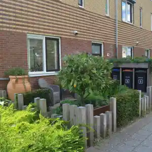 Een eigentijdse voortuin in Amersfoort.jpg