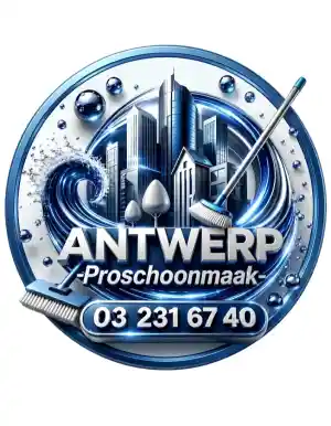 glazenwasser_lier_Antwerp-Proschoonmaak_BV_3.jpg
