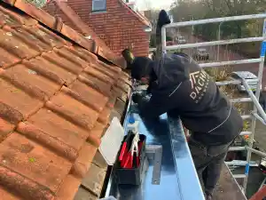 Dacha Dakwerken.jpg