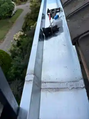 dakgoot_woerden_Dacha_Dakwerken_7.jpg