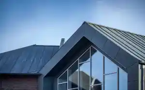 dakgoot_woerden_Dacha_Dakwerken_3.jpg