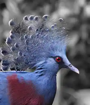 videograaf_asten_AddVision_Media_4.jpg