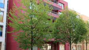 maler_berlin_Heinz_Bein_Malereibetrieb_GmbH_&_Co._KG_4.jpg