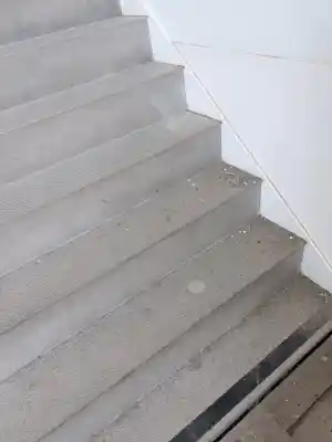 schoonmaakbedrijf_lelystad_Teiko_Cleaning_Service_B.V._4.jpg